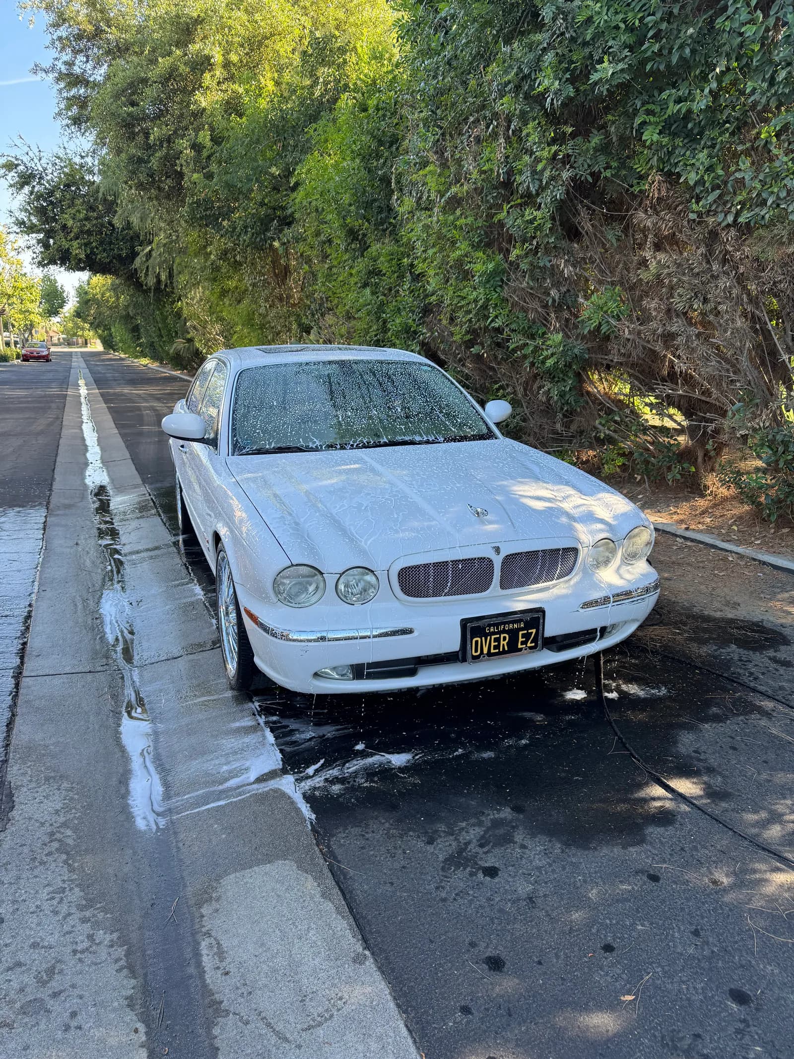 Clay n Seal decontamination and ceramic sealant in Bakersfield, CA